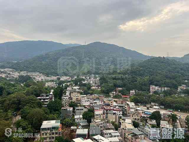 Tai Po - The Regent Block 1 13