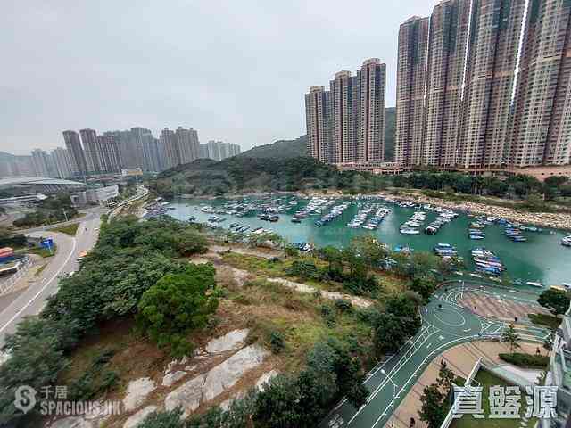 Tseung Kwan O - Savannah Block 2 01