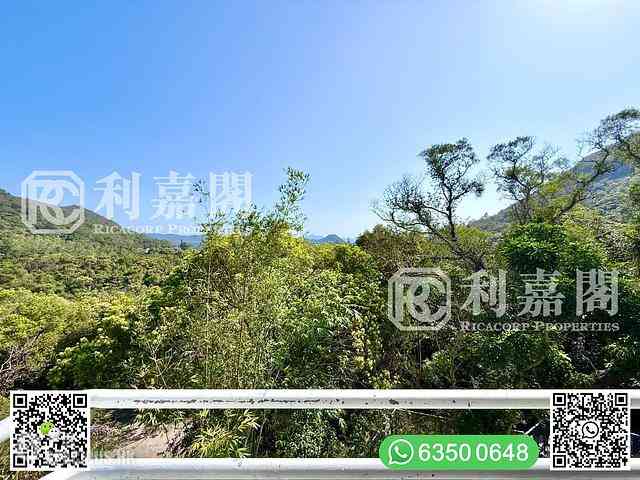 西贡 - 大网仔 27
