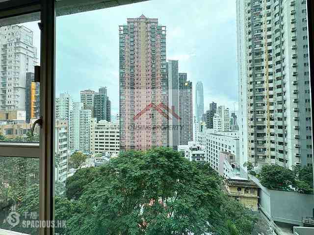 Mid Levels Central - Peach Blossom 03