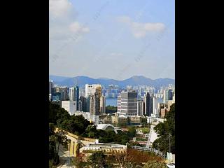 跑马地 - 林肯大厦 12