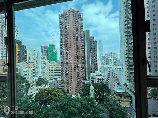 Mid Levels Central - Peach Blossom 05