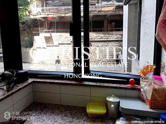 Mid Levels Central - Elegant Terrace 03