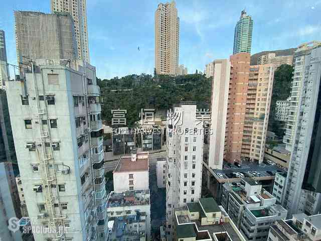跑马地 - 骏愉居 08