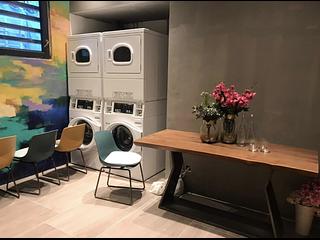 Sai Ying Pun - One・Artlane 20