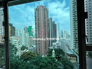 Mid Levels Central - Peach Blossom 02