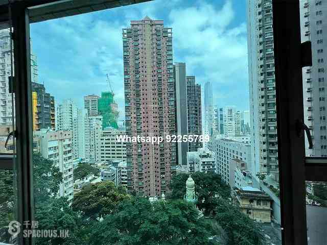 Mid Levels Central - Peach Blossom 02