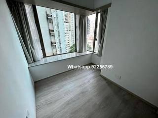 Mid Levels Central - Peach Blossom 05
