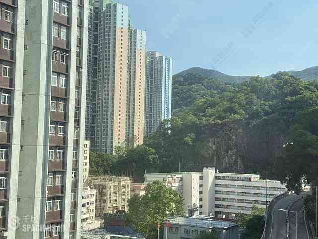 Tai Koo Shing - Tai Koo Shing Kao Shan Terrace Tai Shan Mansion 01