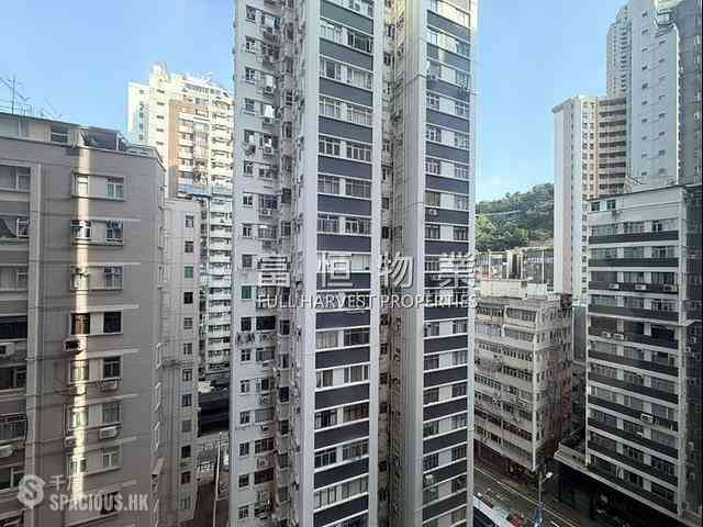 Happy Valley - Palm Court 19