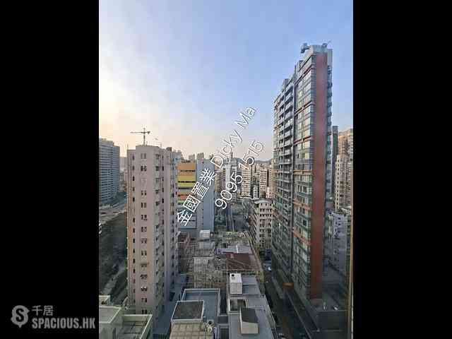 Jordan - The Paseo 10
