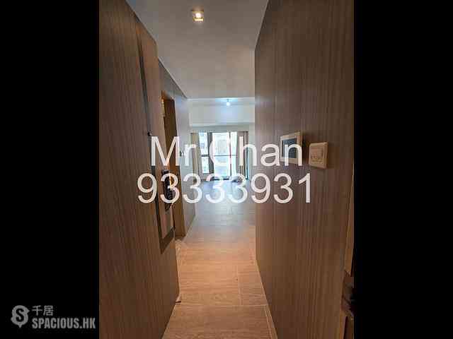 Shau Kei Wan - Lime Gala Block 1A 06