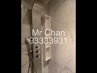Shau Kei Wan - Lime Gala Block 1A 09