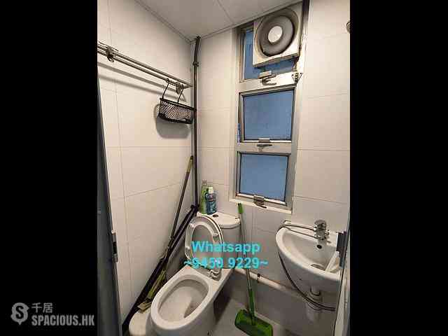 Sheung Wan - 20, Possession Street 06