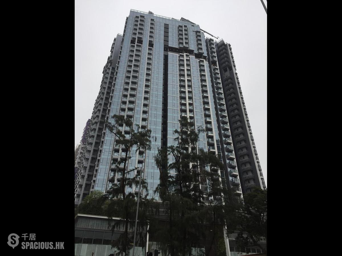 Shau Kei Wan - Lime Gala 01