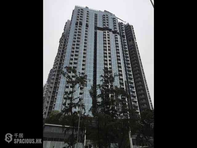 Shau Kei Wan - Lime Gala 01