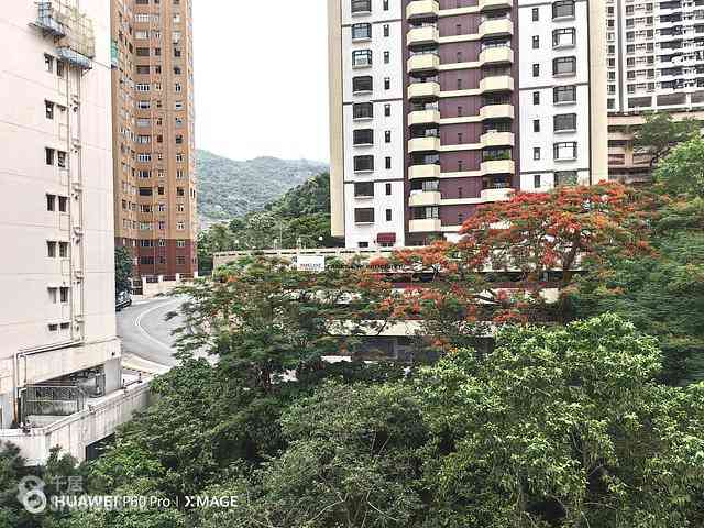 大坑 - 高宁大厦 03