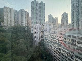 Mid Levels West - Wilton Place 11