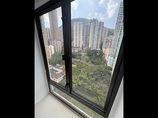 西半山 - 柏苑 11