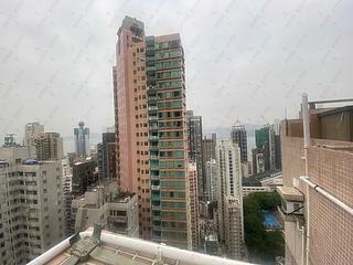 西半山 - 柏苑 17