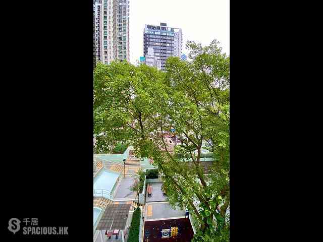 苏豪 - 中兴阁 04
