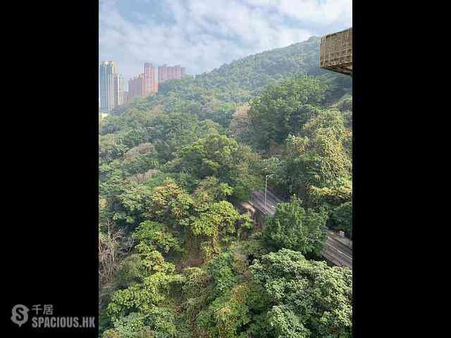 Tin Hau - Dragon Court Block B 01