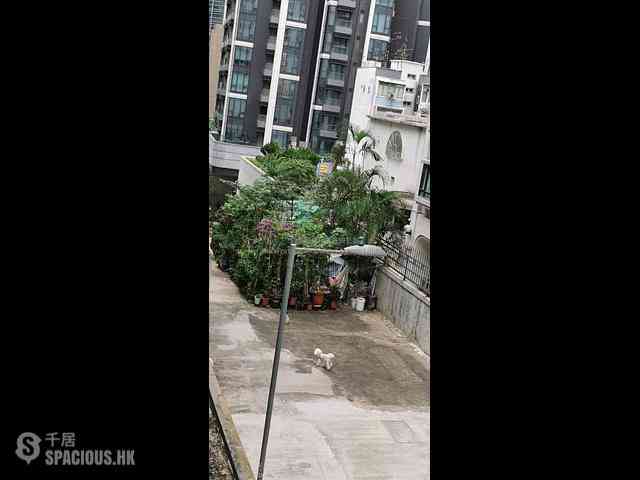 Kennedy Town - 6-7, Tai Pak Terrace 02
