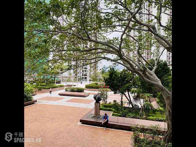 Tai Koo Shing - Tai Koo Shing On Shing Terrace Ko On Mansion 01