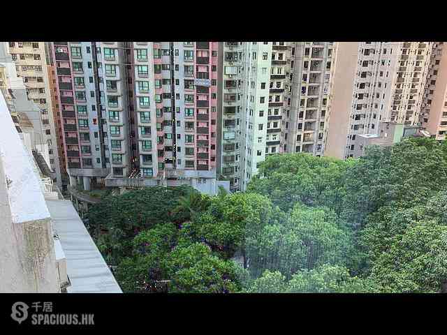 西半山 - 豪華大廈 12