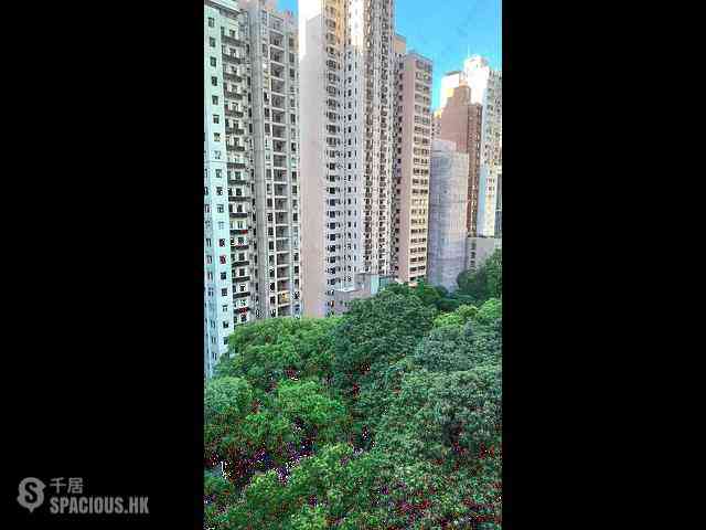 西半山 - 豪華大廈 13