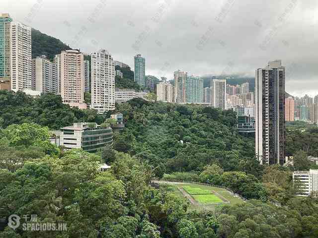 東半山 - 萬信台 23