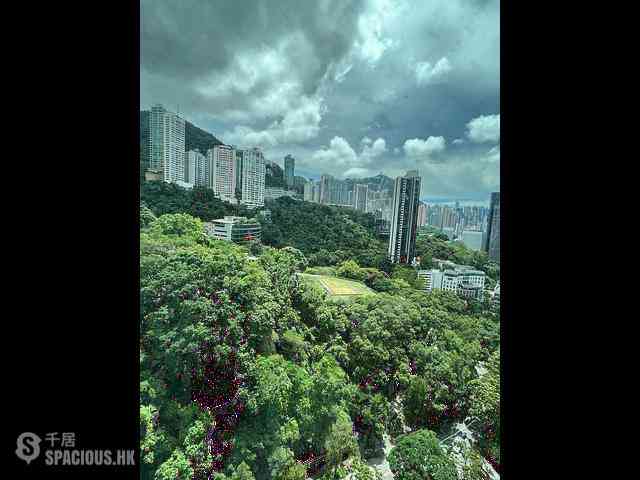 東半山 - 萬信台 24