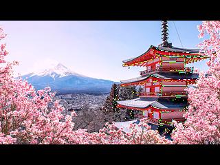 深水埗 - 喜居 03