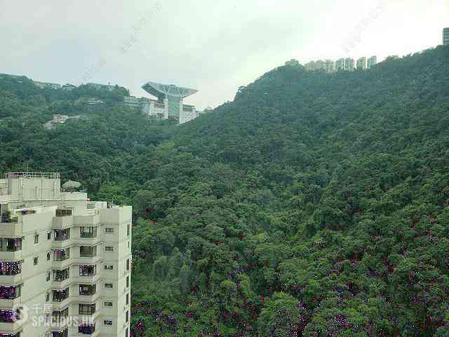 中半山 - 晓峰阁 16