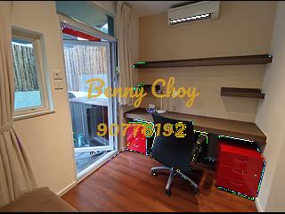 Pok Fu Lam - Cnt Bisney 11