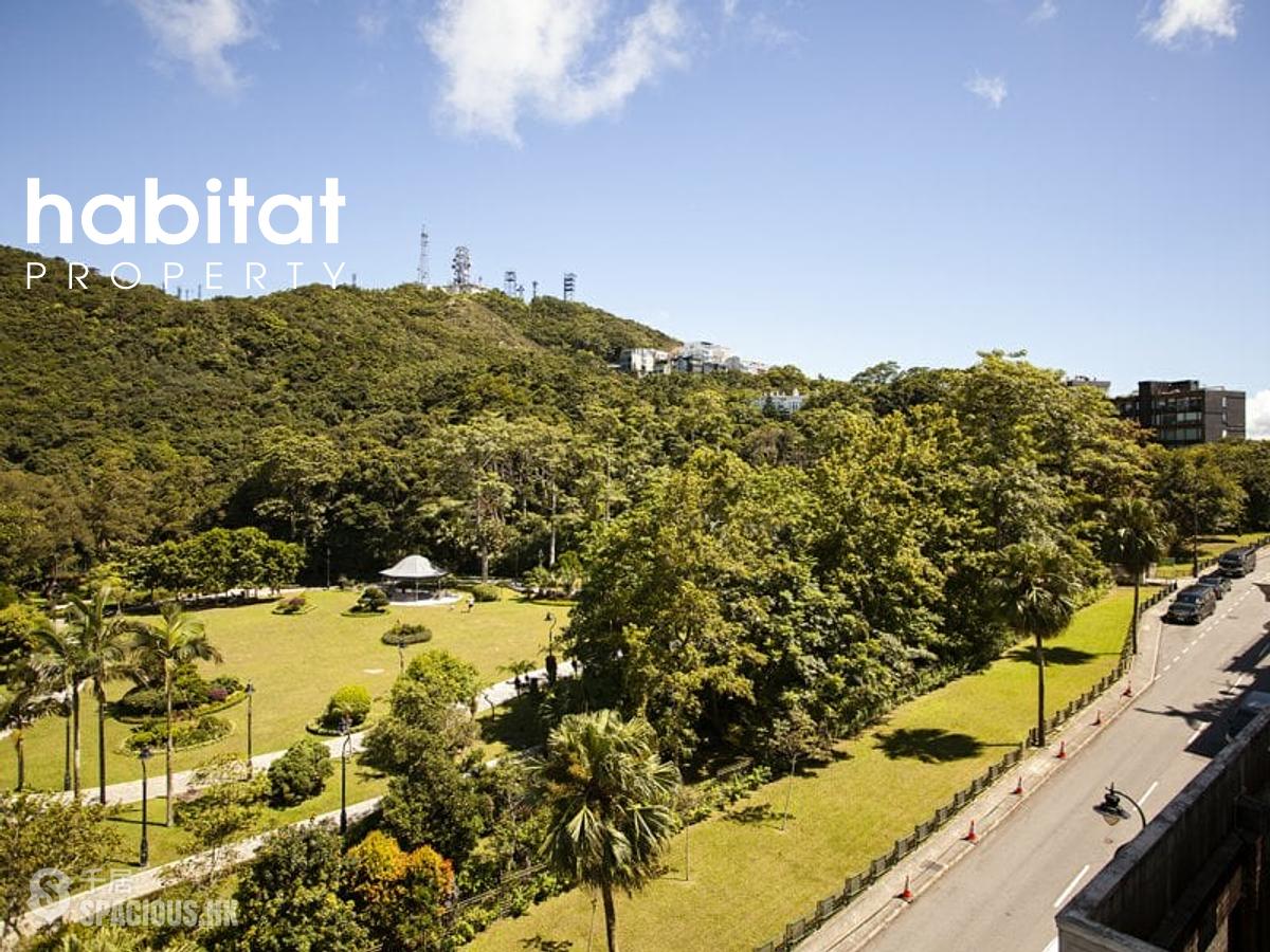 山顶 - The Mount Austin 01