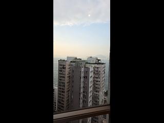 Kennedy Town - Harbour View Garden 05