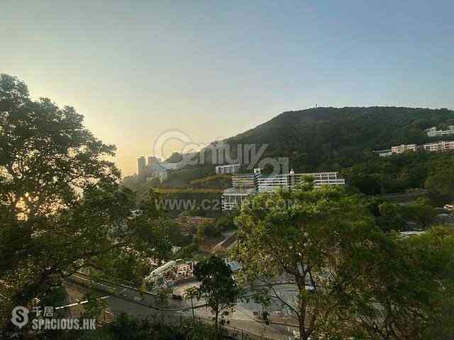 Pok Fu Lam - 3, Consort Rise 01