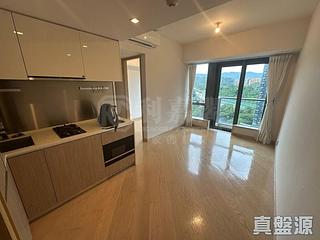 Tai Po - The Regent Block 10 06