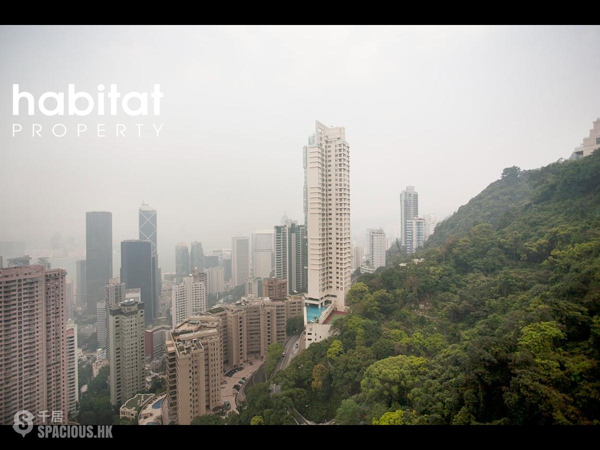 中半山 - 世纪大厦 01