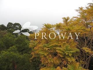 Pok Fu Lam - Pine Grove Block 4 02