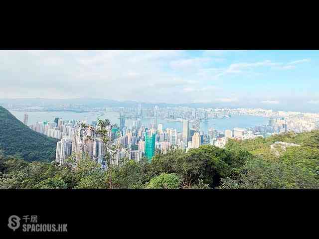 The Peak - Ridgeway 01