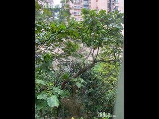 炮台山 - 森樂閣 03