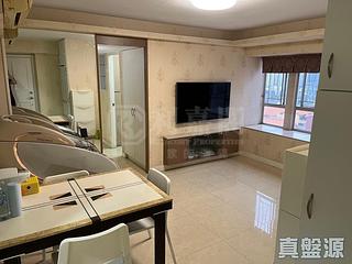 Sha Tin - Hilton Plaza Block A 10
