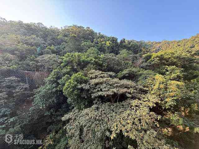 Sha Tin - Mount Arcadia 04