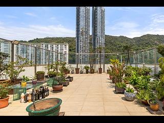 Tai Hang - Rosedale 02