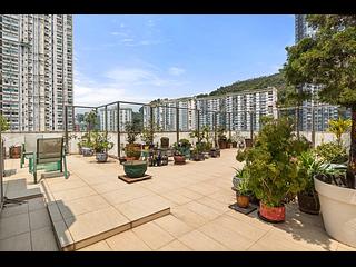 Tai Hang - Rosedale 03