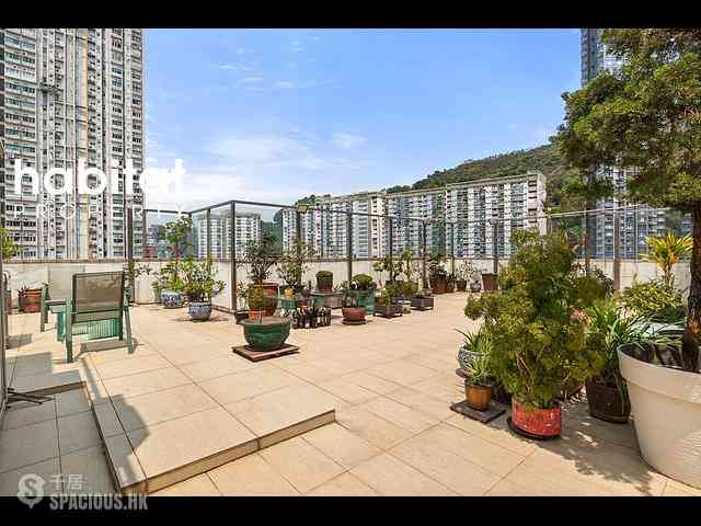 Tai Hang - Rosedale 03