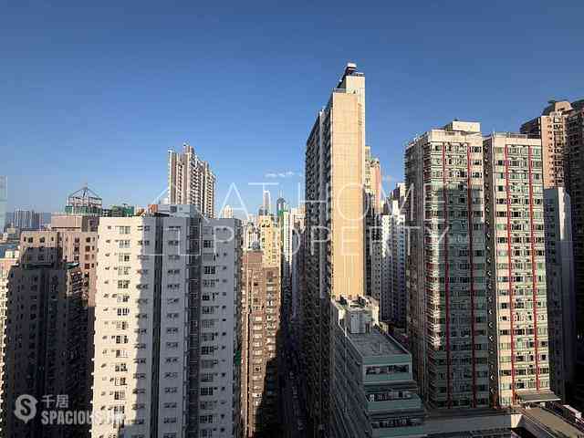 Sai Ying Pun - 15 Western Street 07