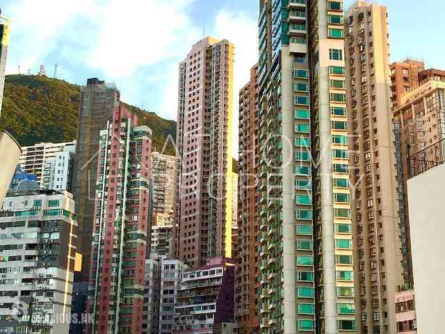 Poho - Universal Building 03